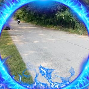 Meet your Posher, Maurice